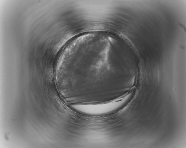 X0000102541457200808291831
