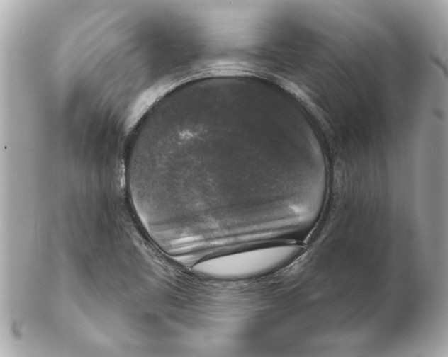 X0000102541461200808291831