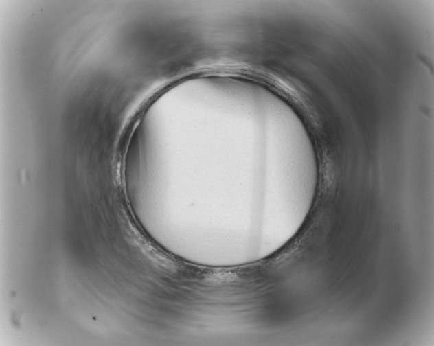X0000102541462200808291831