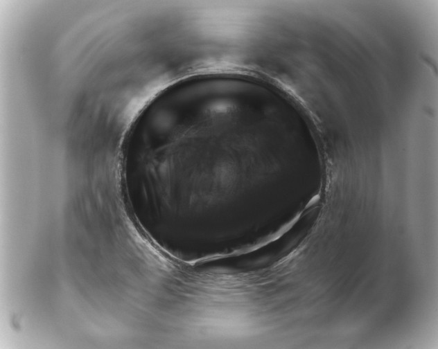 X0000102541463200808291831