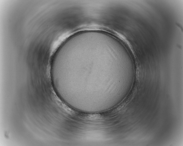 X0000102541464200808291831
