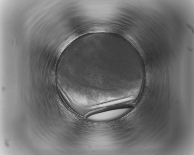 X0000102541465200808291831