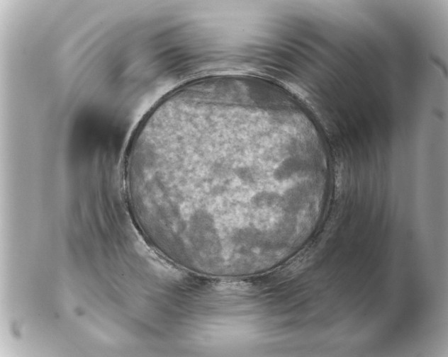 X0000102541466200808291831