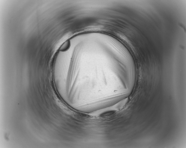 X0000102541467200808291831