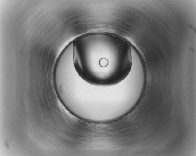 X0000102541468200808291831