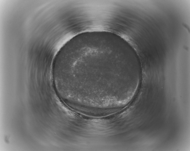 X0000102541469200808291831