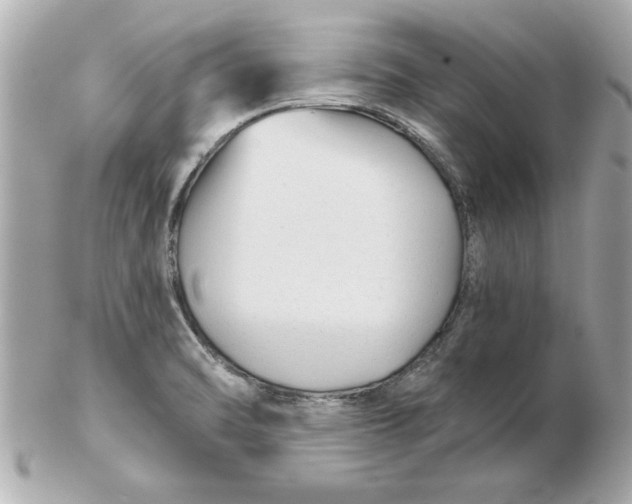 X0000102541470200808291831