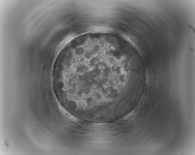 X0000102541471200808291831