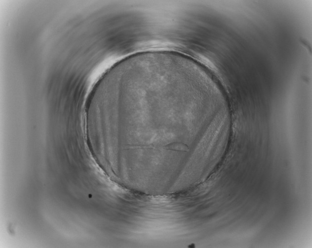 X0000102541472200808291831