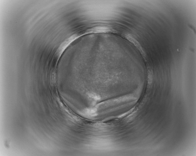 X0000102541473200808291831