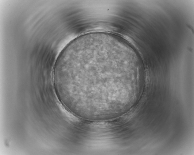 X0000102541474200808291831