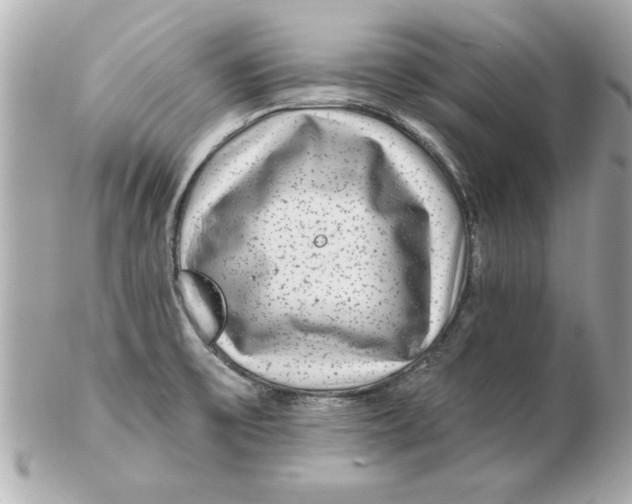 X0000102541475200808291831