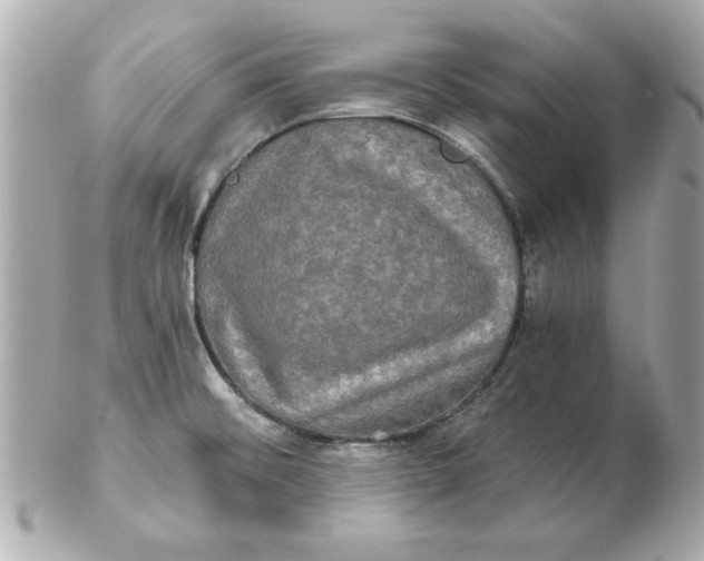 X0000102541476200808291831