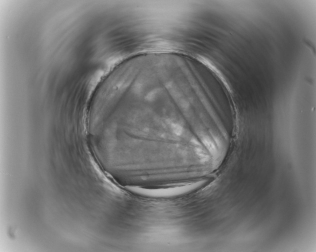 X0000102541477200808291831