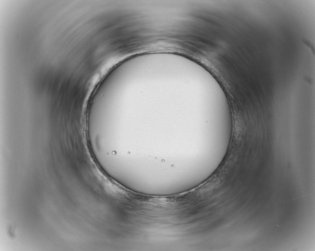 X0000102541478200808291831