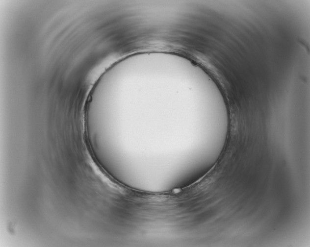 X0000102541479200808291831