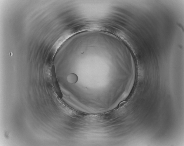 X0000102541481200808291831