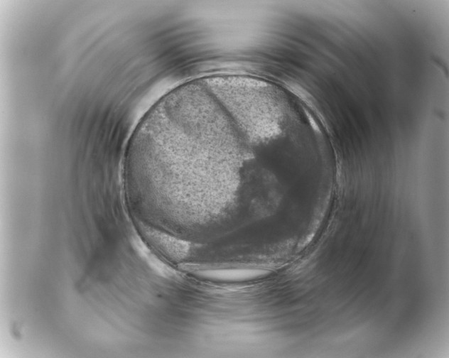 X0000102541482200808291831