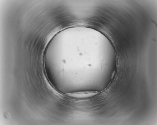 X0000102541483200808291831
