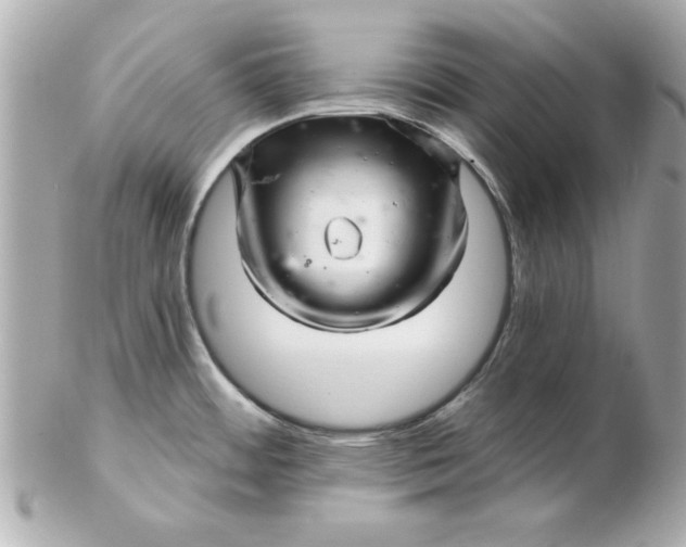 X0000102541484200808291831