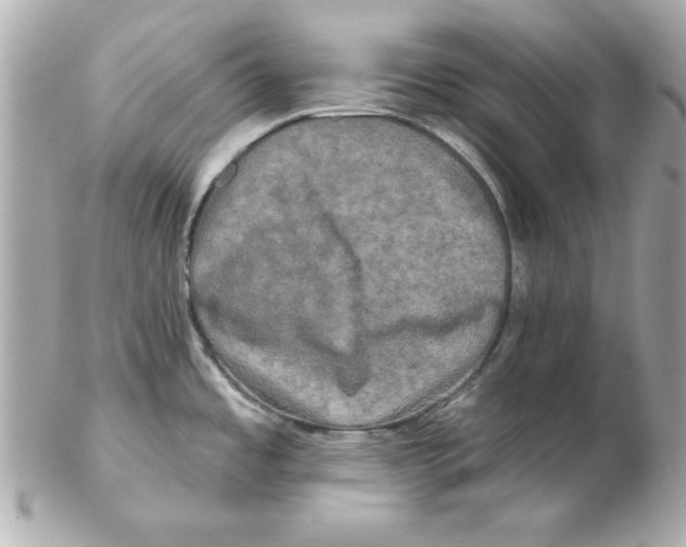 X0000102541485200808291831