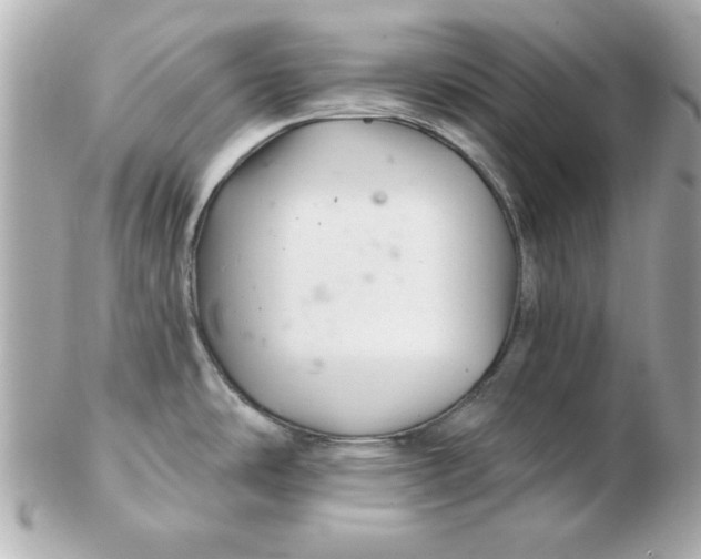 X0000102541486200808291831