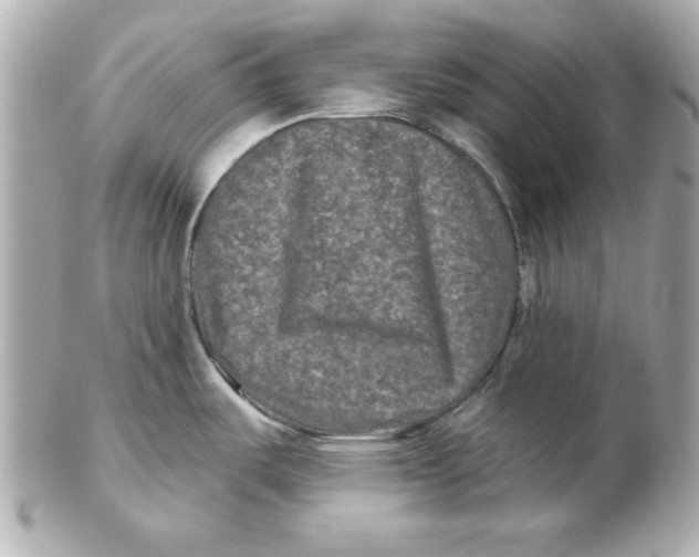 X0000102541487200808291831