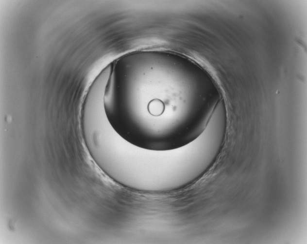 X0000102541488200808291831