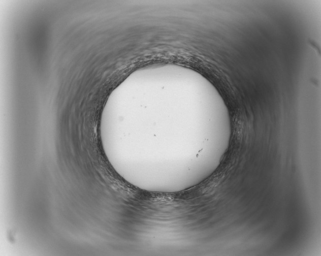 X0000102541489200808291830