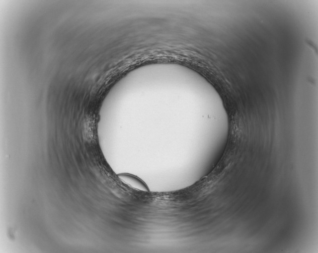 X0000102541490200808291830