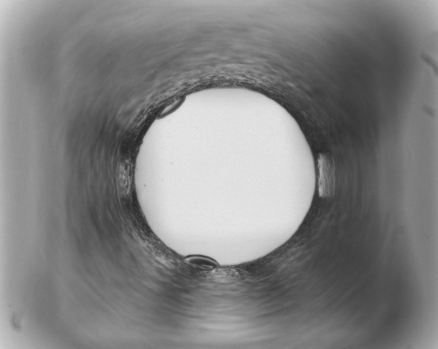 X0000102541491200808291830