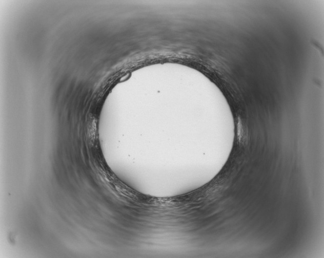 X0000102541492200808291830