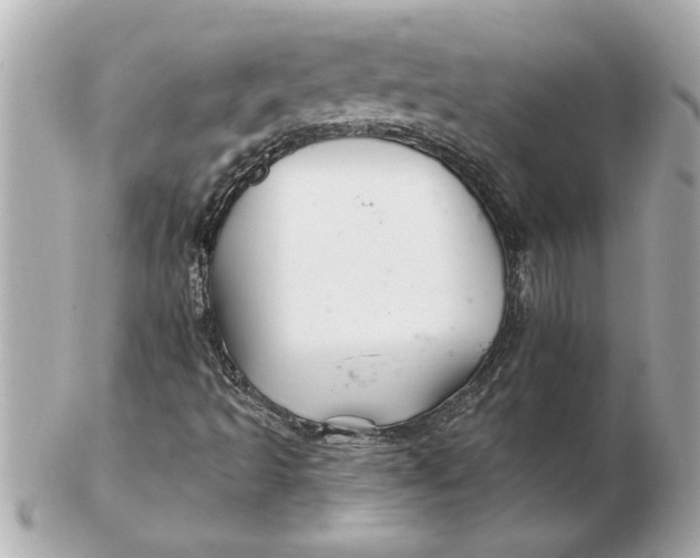 X0000102541493200808291830