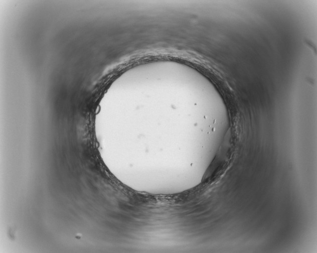 X0000102541494200808291830