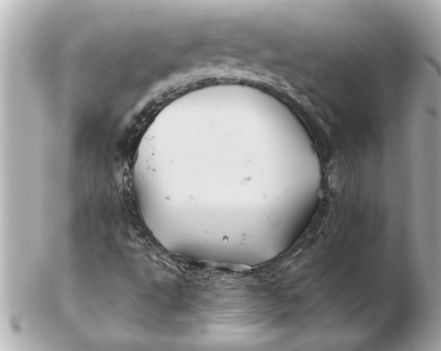 X0000102541495200808291830