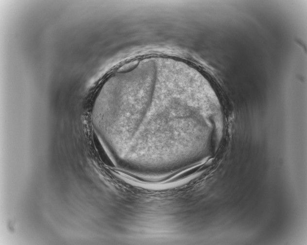 X0000102541496200808291830