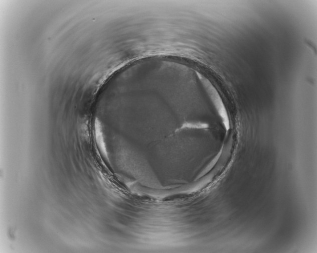 X0000102541497200808291830