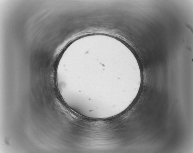 X0000102541502200808291830