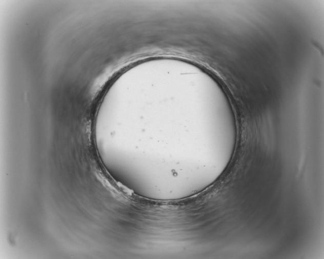 X0000102541503200808291830