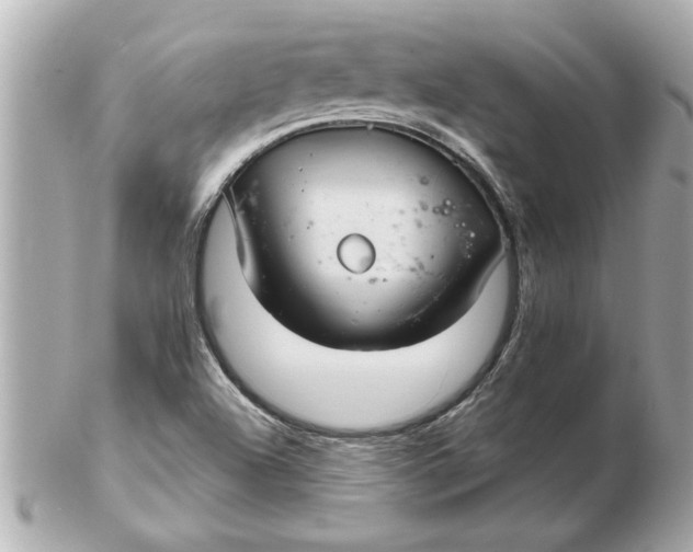 X0000102541504200808291830