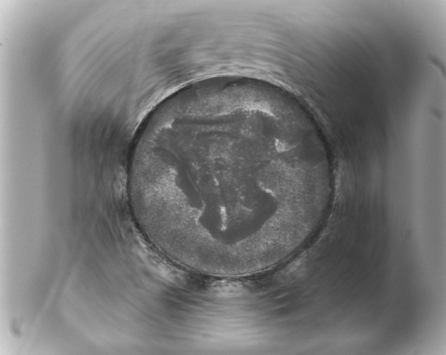 X0000102541505200808291830