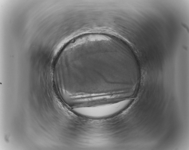 X0000102541506200808291830