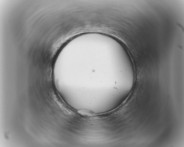 X0000102541507200808291830