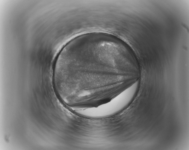 X0000102541508200808291830