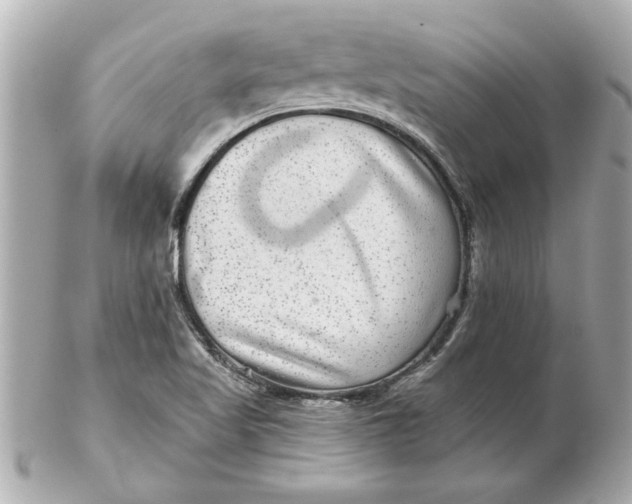 X0000102541509200808291830