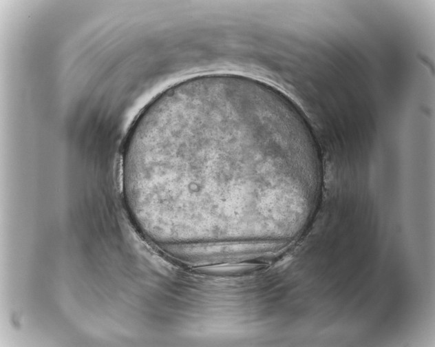 X0000102541510200808291830