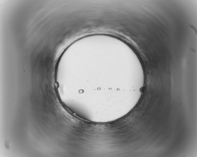 X0000102541512200808291830