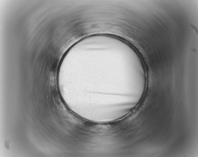 X0000102541513200808291830