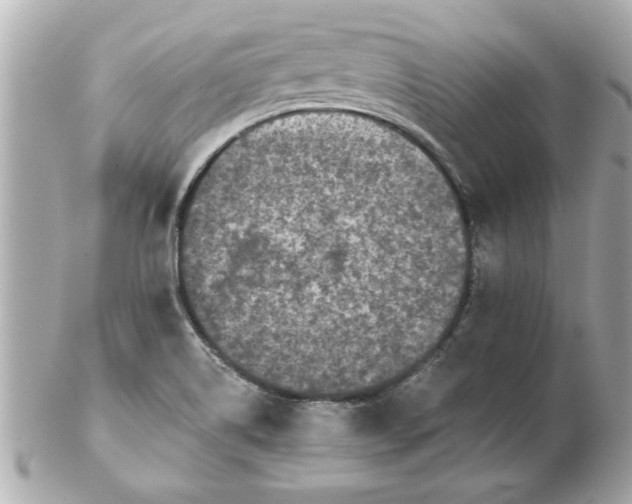X0000102541514200808291830
