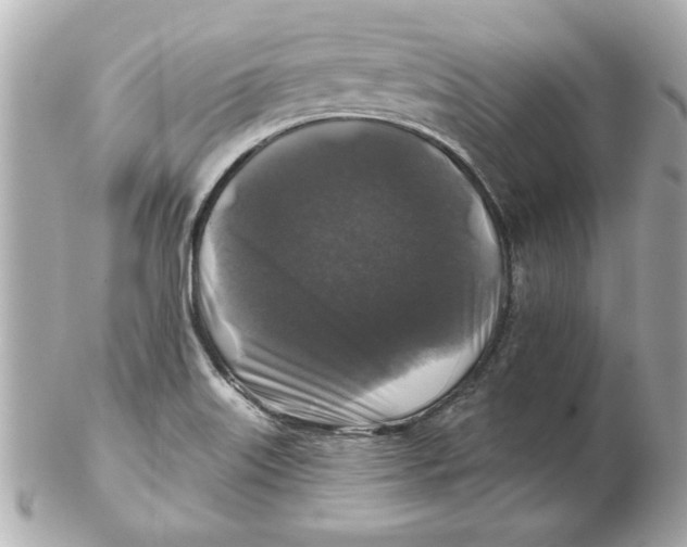 X0000102541515200808291830